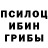 Галлюциногенные грибы Magic Shrooms Hakikat Pesinde