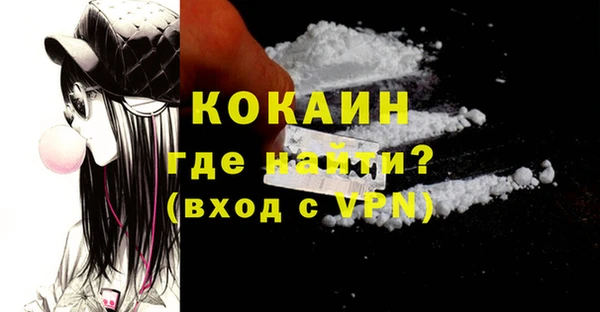 шишки Горнозаводск