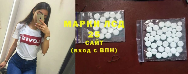 шишки Горнозаводск
