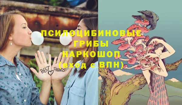 шишки Горнозаводск
