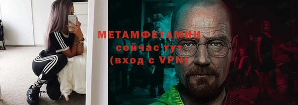 шишки Горнозаводск