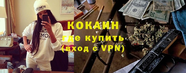 шишки Горнозаводск