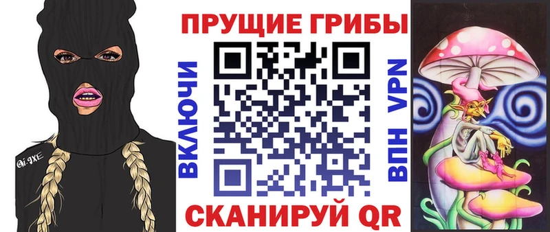 Галлюциногенные грибы Cubensis блэк спрут рабочий сайт Онега купить